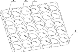矩阵式锂电池组的固定架