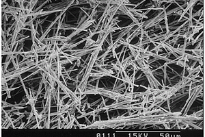 富集盐湖卤水中碳酸锂的晶须网织材料及其制备方法