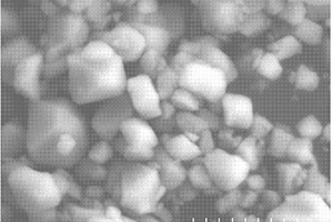 氮化钛包覆钛酸锂材料的制备方法