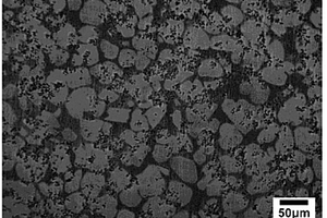 多元微合金化高强高模双相镁锂合金及其制备方法