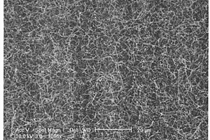 无定形纳米硅线的制备方法及其在锂电池负极上的应用