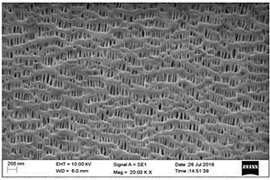 结构均匀的锂离子电池微孔膜的制备方法