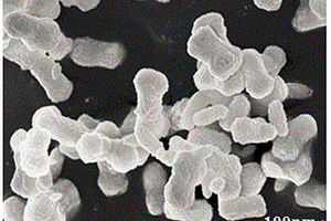 锂离子电极复合纳米材料及其制备方法