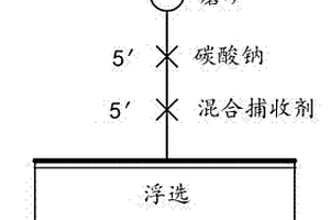 锂辉石矿反浮选脱泥方法