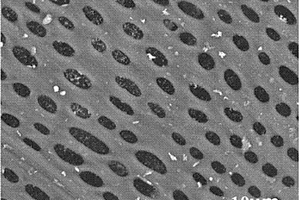 网状介孔硬碳材料、制备方法及其在锂离子电池中的应用
