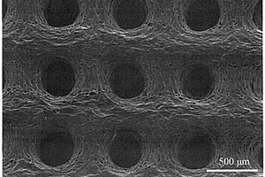 抑制锂枝晶生长的三维梯度碳骨架复合材料及其制备方法
