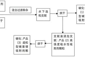 用于液体锂资源提取的碳基吸附剂颗粒、制备方法及制备装置