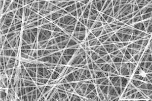 镁掺杂磷酸锰锂/碳复合纳米纤维的制备方法