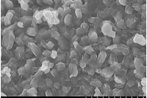 离子基团诱导复合相修饰的富锂层状正极材料