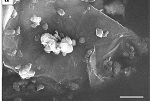 石墨烯负载碳包覆磷酸钒锂复合材料的制备方法