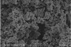 Al、F、R掺杂钛酸锂负极材料的制备方法与应用