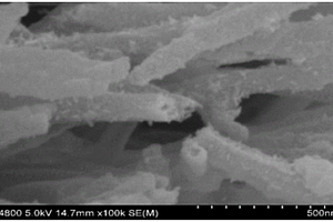 锂离子超级电容器电极材料BCN纳米管的制备方法