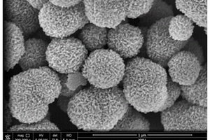 乒乓菊形貌钒酸锂材料的制备方法