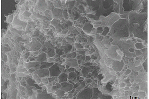 新型锂离子电池负极材料碳化葡萄皮的制备方法及其应用