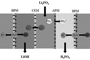 制备氢氧化锂的双极膜电渗析装置