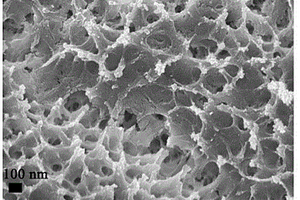 NiCoSe/碳布/S复合锂硫电池正极材料及其制备方法