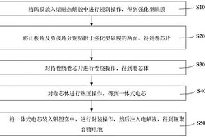 锂聚合物电池及其制备方法