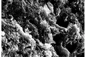 高水氧稳定性的溴掺杂硫代磷酸锂固态电解质及其制备方法和应用