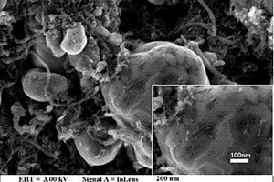纳米石墨烯改性锂离子电池正极浆料的方法