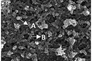 凝胶型硅基负极材料及其制备方法和应用以及锂离子电池