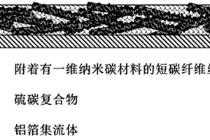 含有短碳纤维丝的锂硫电池正极及其制备方法