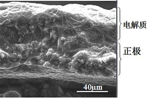 原位制备柔性锂离子电池聚合物电解质的方法及应用