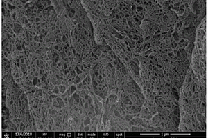 网络状碳负载铁基化合物材料的制备方法及其在锂硫电池上的应用