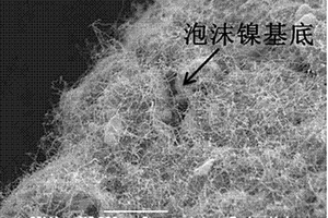自支撑的氮杂化碳纳米管锂空气电池正极及其制备方法
