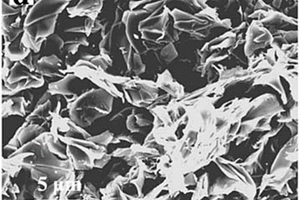 二维氮掺杂分级孔碳纳米片、制备方法及其在锂硫电池中的应用