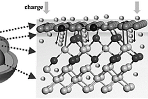 生物炭/硅纳米材料及其制备方法与作为锂离子电池负极的应用