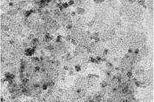 采用介孔碳负载纳米粒子制备锂离子电池负极材料的方法