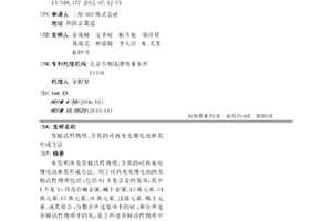 负极活性物质、含其的可再充电锂电池和其形成方法