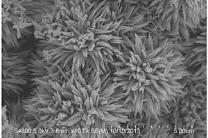 高库伦效率锂离子电池负极材料菊花形状纳米二氧化钛的制备方法