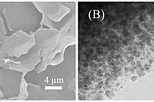催化型SnO<sub>2</sub>-Fe-C锂离子电池负极材料及其制备方法和应用