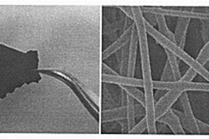 锂/钠离子电池柔性自支撑碳纤维负极材料及制备方法