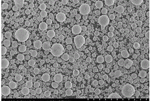 球形磷酸铁锂正极材料的制备方法及应用