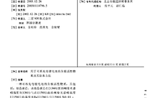 用于可再充电锂电池的负极活性物质及其制备方法