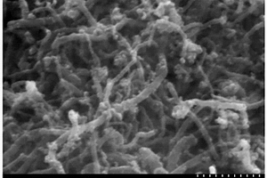 四氧化三铁-碳纳米管锂电池负极材料的制备方法