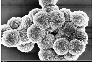 基于TiO<Sub>2</Sub>/MoS<Sub>2</Sub>负极材料的锂离子电池及其制备方法