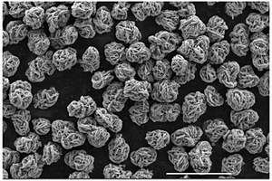 单晶无钴富锂锰基二元材料前驱体量产方法