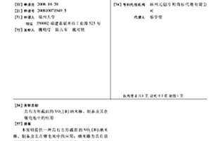 具有方形截面的VO2(B)纳米棒、制备及其在锂电池中的应用