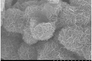 由纳米片组成的碳支持的多孔球形MoN及其作为负极材料在锂电池中的应用