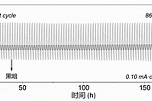 基于双场辅助正极的锂二氧化碳电池及其制备方法