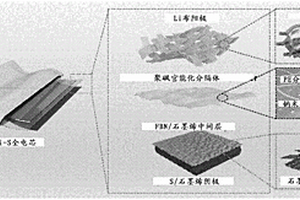 柔性锂硫电池