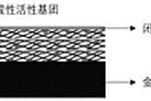 原位构建多功能仿生膜的金属锂负极及其制备方法