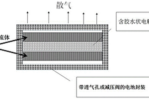 水系钛酸锂电池及其制备方法