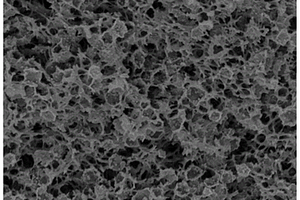 网状孔高负载金属钴的锂硫电池用正极侧隔层的制备方法