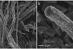 锂离子电池用生物质炭纤维负极材料及其制备方法和应用