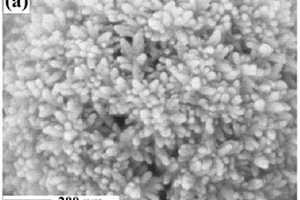 纳米锐钛矿相二氧化钛的制备方法及在锂电池中的应用