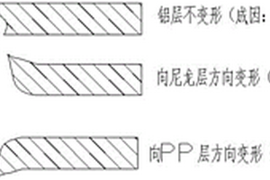 软包锂电池微孔失效原因的分析检测方法